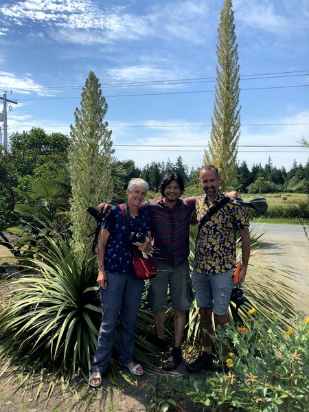 Jimi Blake, June Blake, and Riz Reyes standing with the tall flower spikes of Nolina hibernica 'La  Siberica'