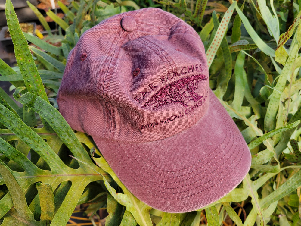 FRBC Hats