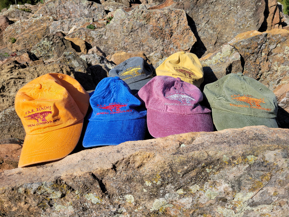 FRBC Hats